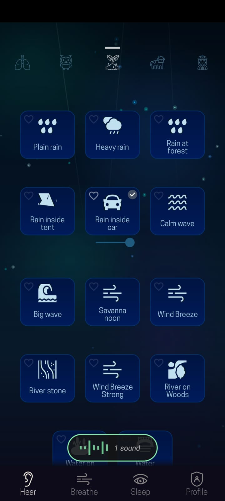 Nature Sounds Interface
